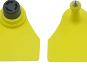 Conjunto Visual Ovino Oficial