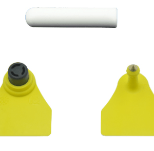 Conjunto Bolo 20gr oficial HDX