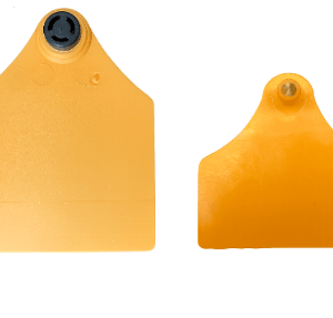 Conjunto visual bovino Oficial